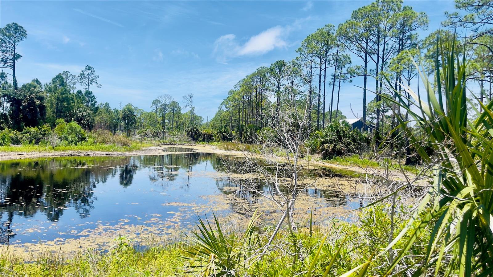 TBD SW 101ST LN, CEDAR KEY, FL, 32625