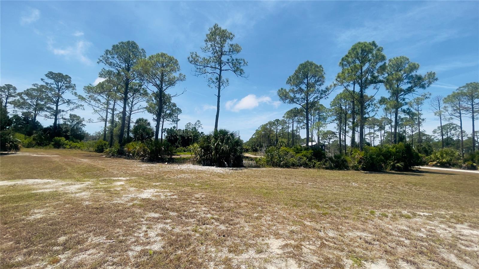 TBD SW 101ST LN, CEDAR KEY, FL, 32625