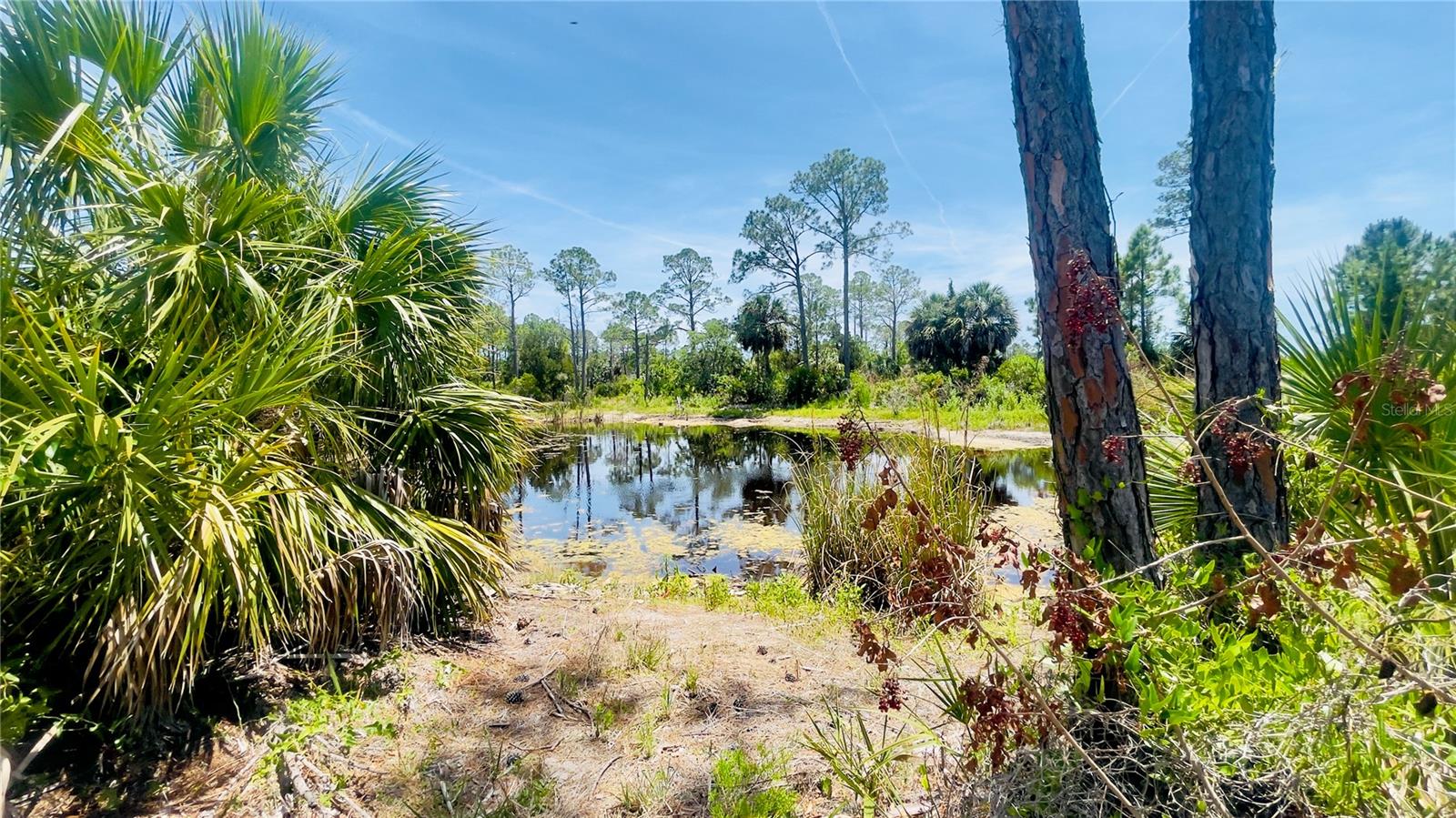 TBD SW 101ST LN, CEDAR KEY, FL, 32625
