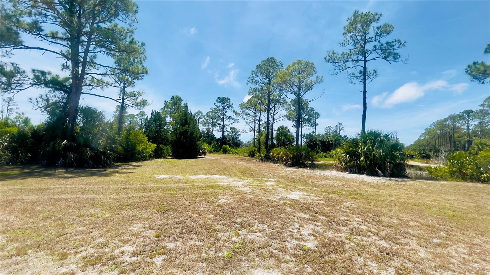 TBD SW 101ST LN, CEDAR KEY, FL, 32625