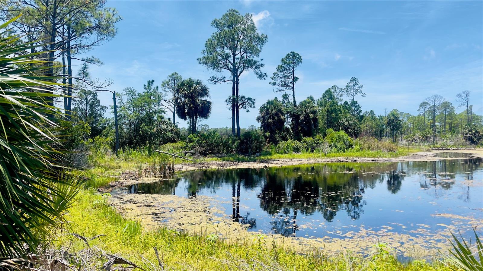 TBD SW 101ST LN, CEDAR KEY, FL, 32625