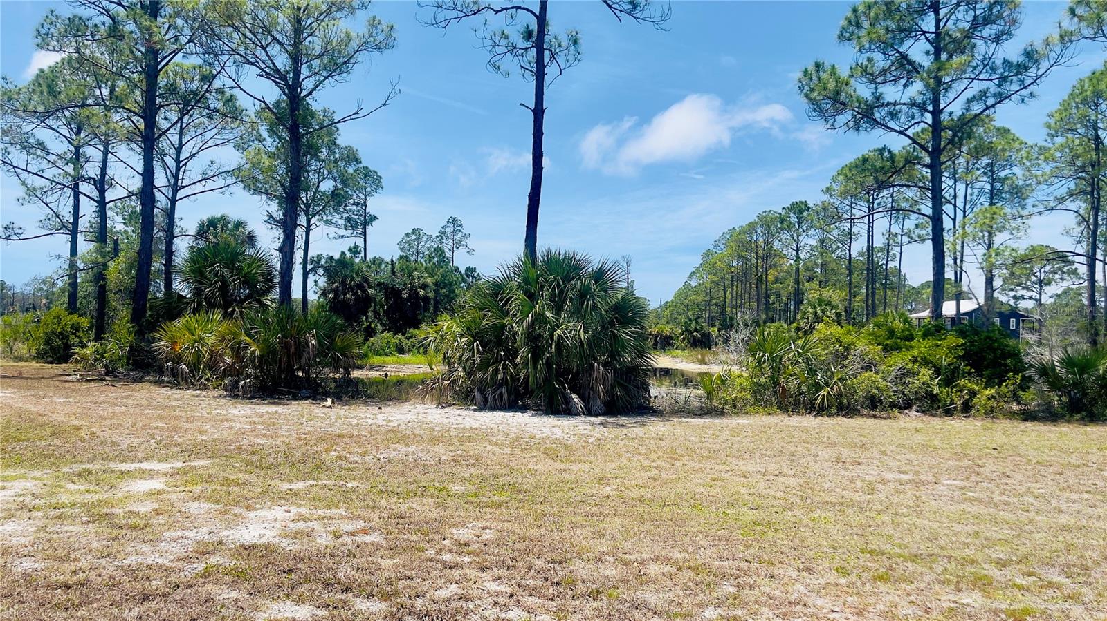 TBD SW 101ST LN, CEDAR KEY, FL, 32625