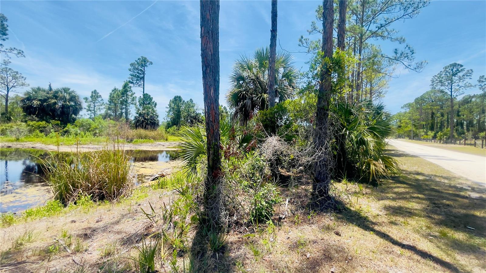 TBD SW 101ST LN, CEDAR KEY, FL, 32625