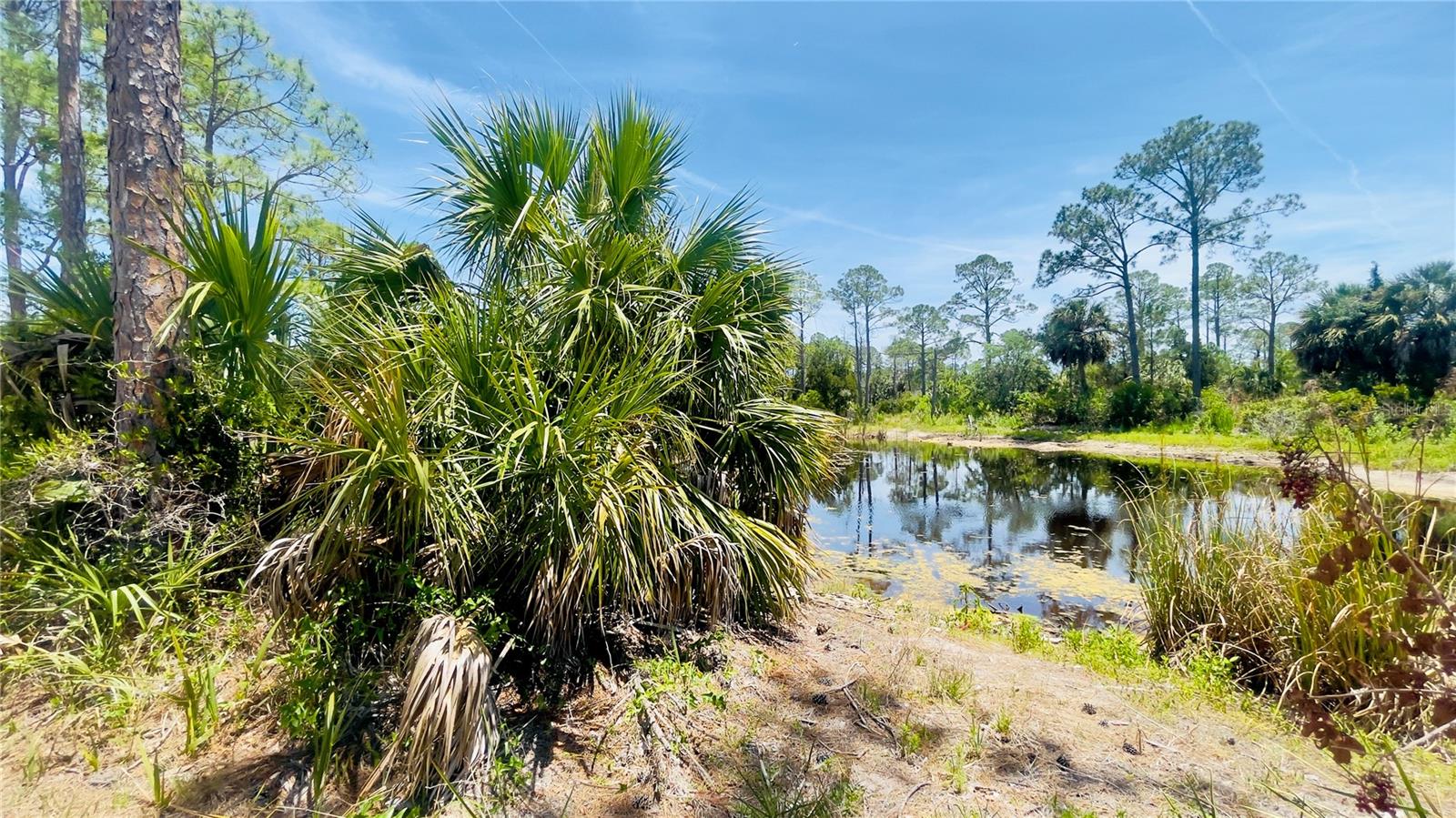 TBD SW 101ST LN, CEDAR KEY, FL, 32625