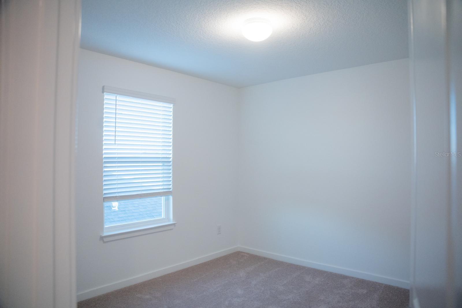 33410 BARNEBROOK DR, WESLEY CHAPEL, FL, 33545