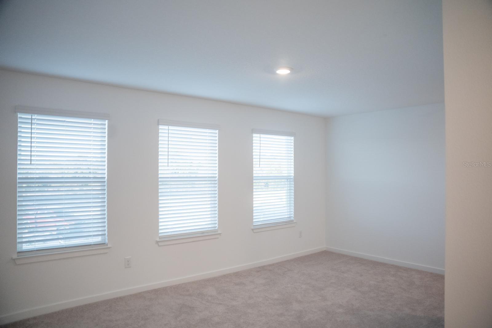 33410 BARNEBROOK DR, WESLEY CHAPEL, FL, 33545
