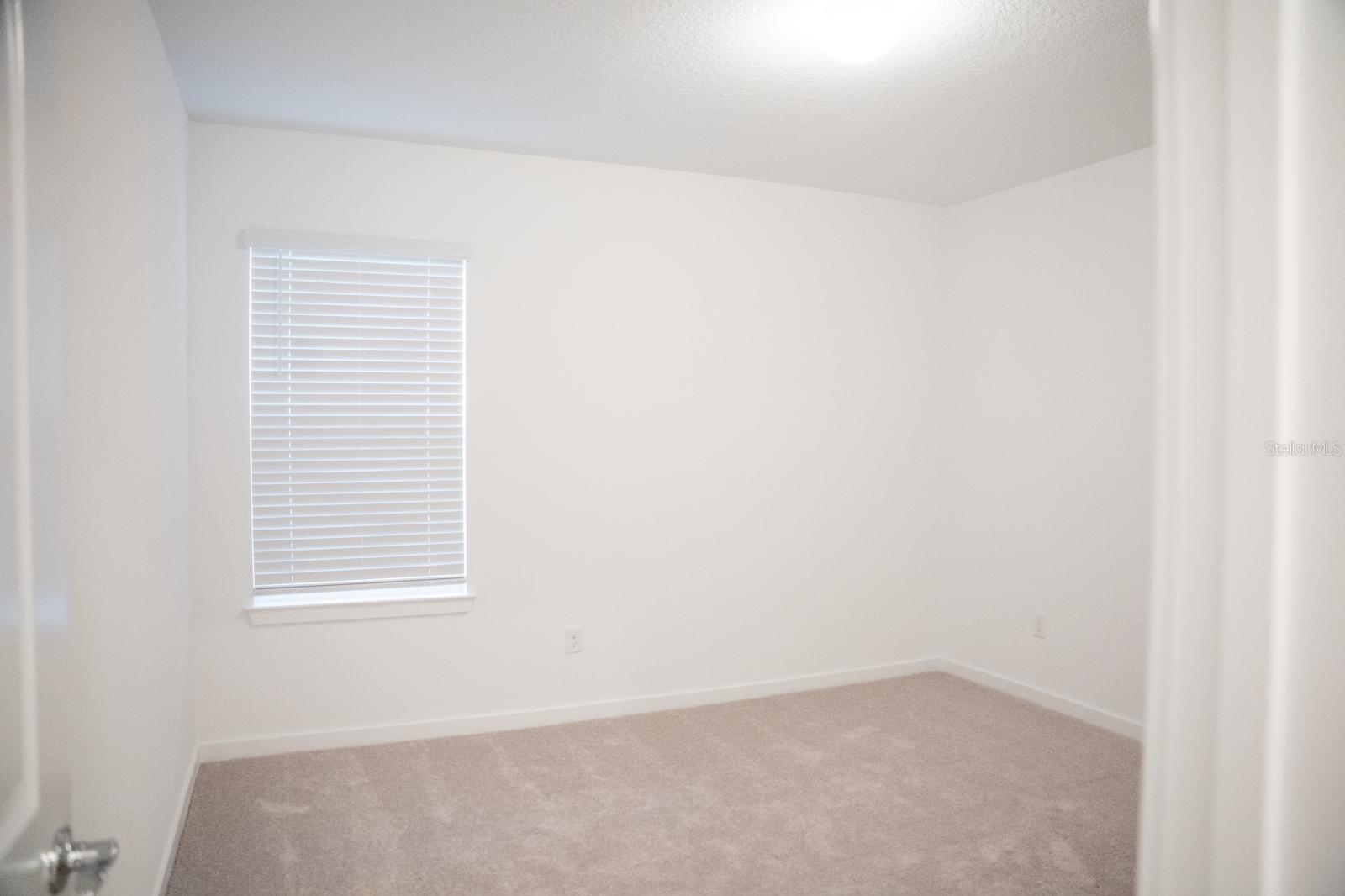 33410 BARNEBROOK DR, WESLEY CHAPEL, FL, 33545