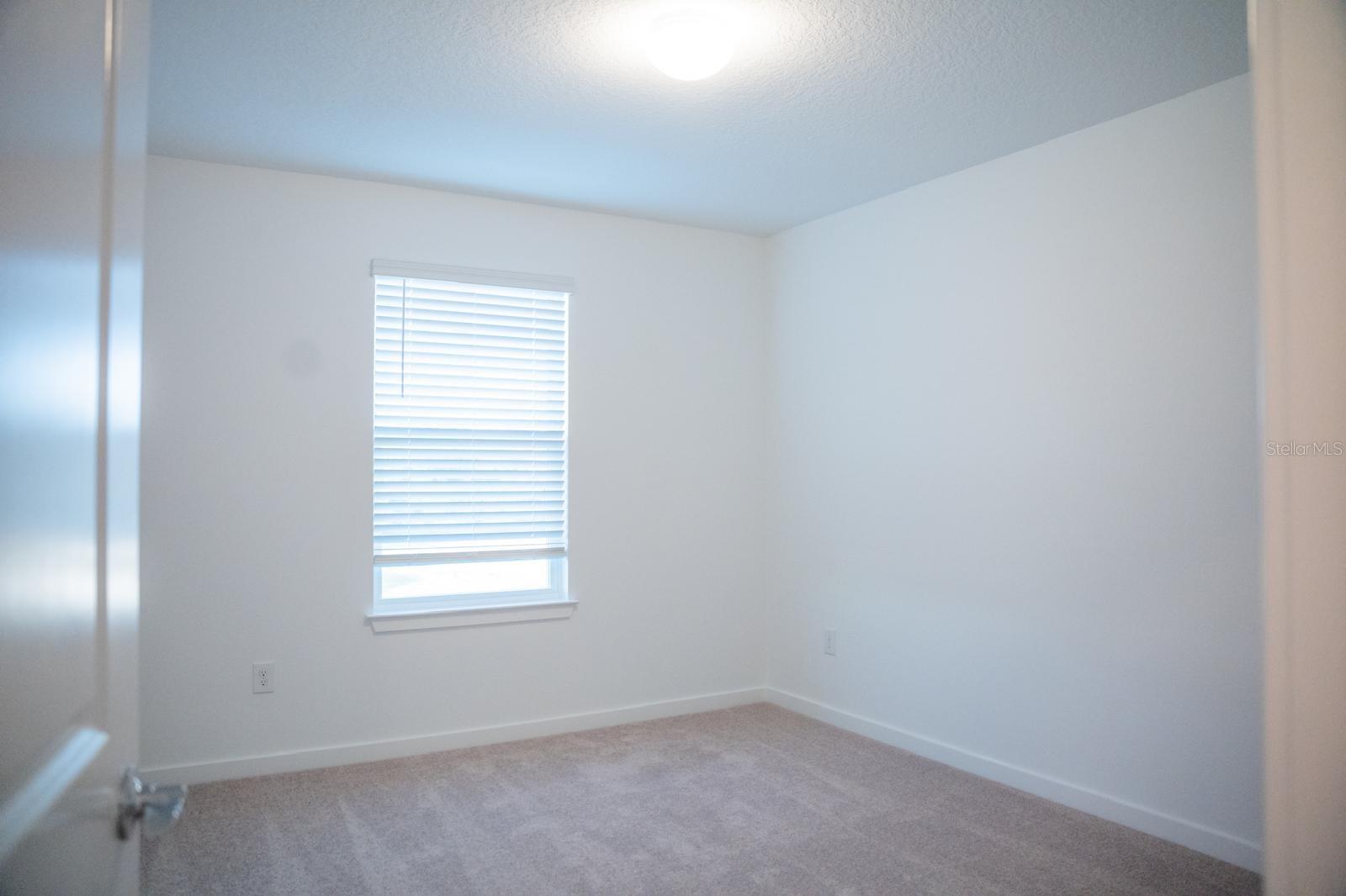 33410 BARNEBROOK DR, WESLEY CHAPEL, FL, 33545