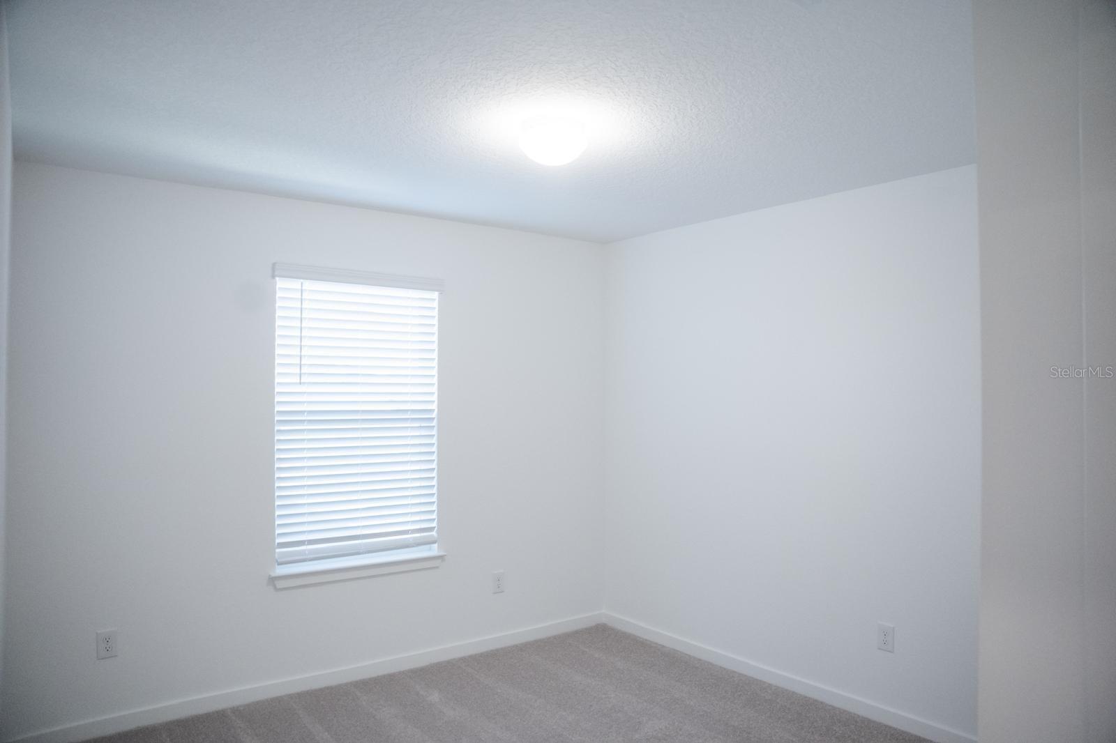 33410 BARNEBROOK DR, WESLEY CHAPEL, FL, 33545