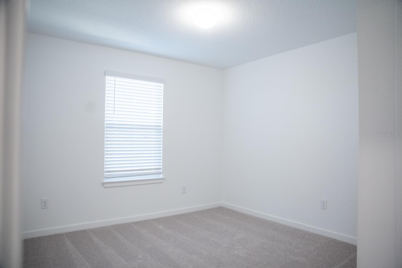 33410 BARNEBROOK DR, WESLEY CHAPEL, FL, 33545