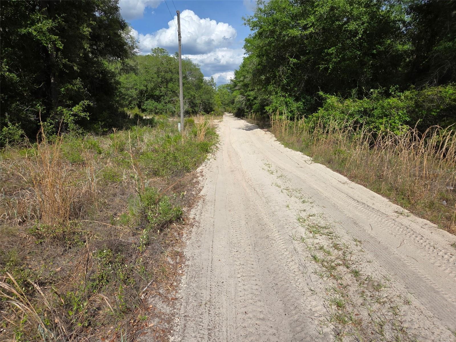 0000 NE 85TH ST, BRONSON, FL, 32621