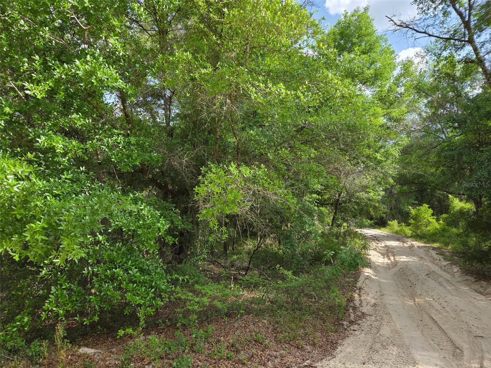 0000 NE 85TH ST, BRONSON, FL, 32621