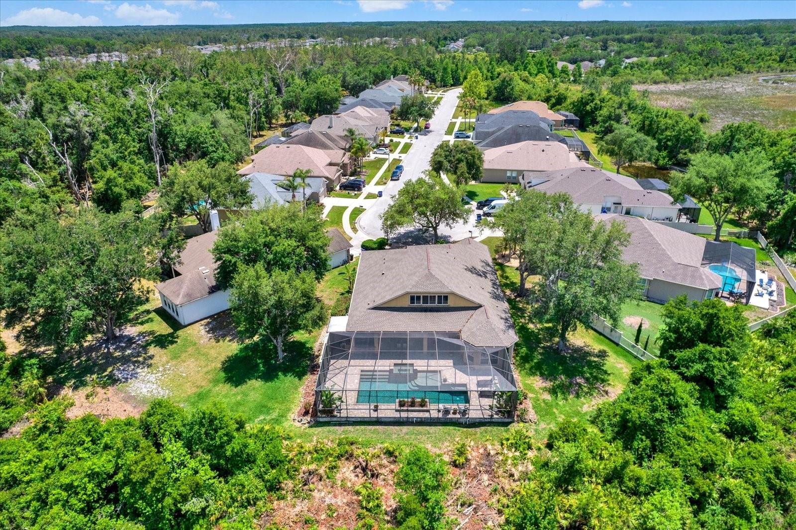 7518 AMBLESIDE DR, LAND O LAKES, FL, 34637