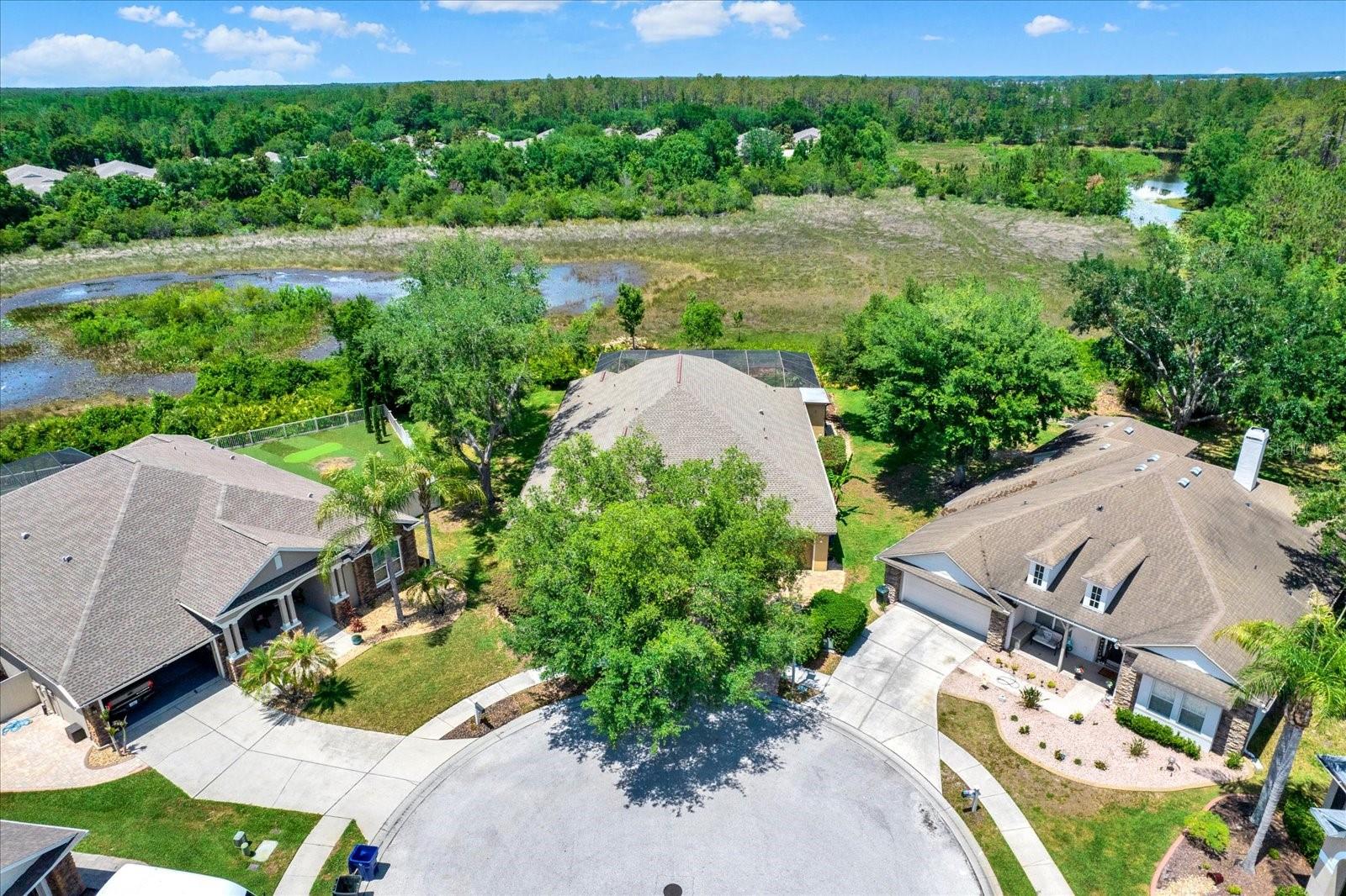 7518 AMBLESIDE DR, LAND O LAKES, FL, 34637