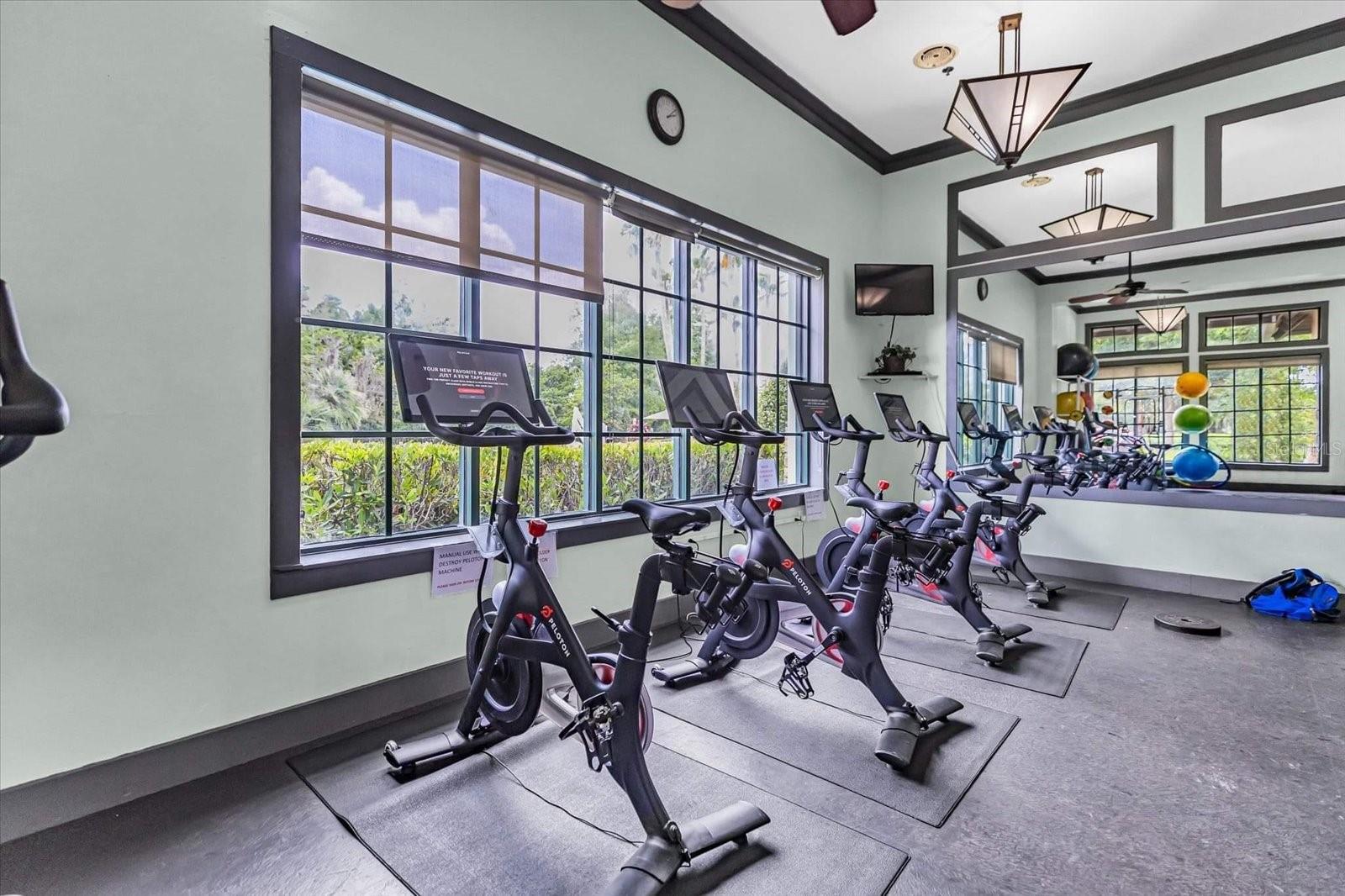 7518 AMBLESIDE DR, LAND O LAKES, FL, 34637