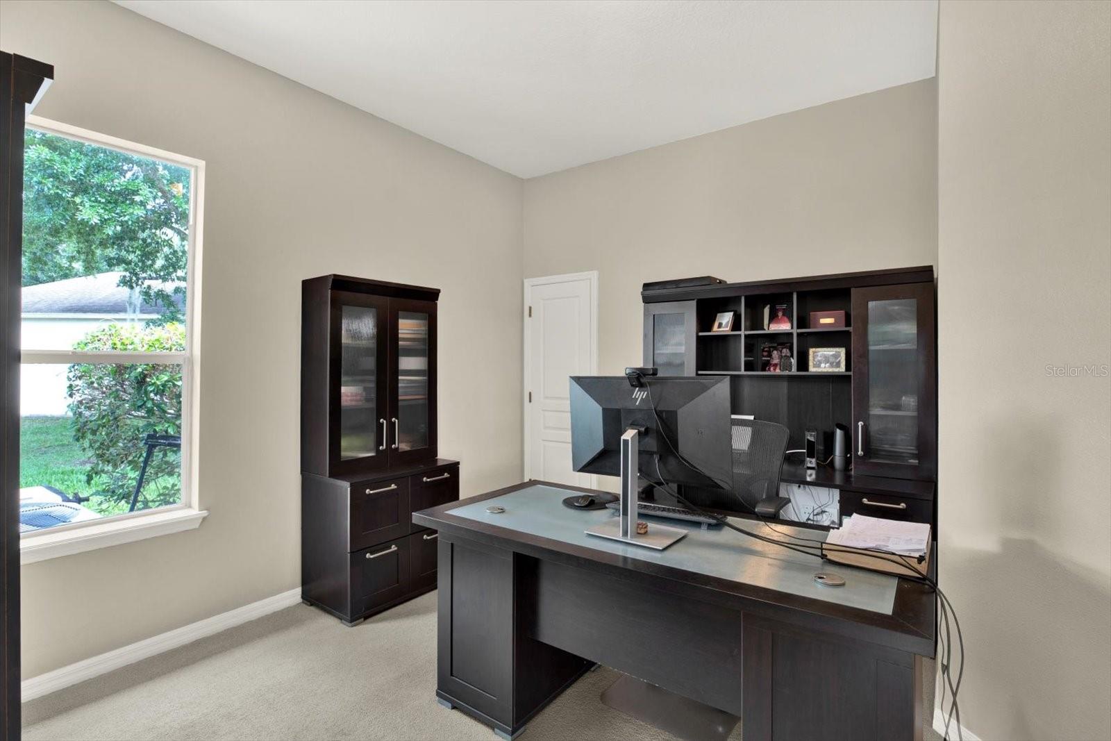 7518 AMBLESIDE DR, LAND O LAKES, FL, 34637