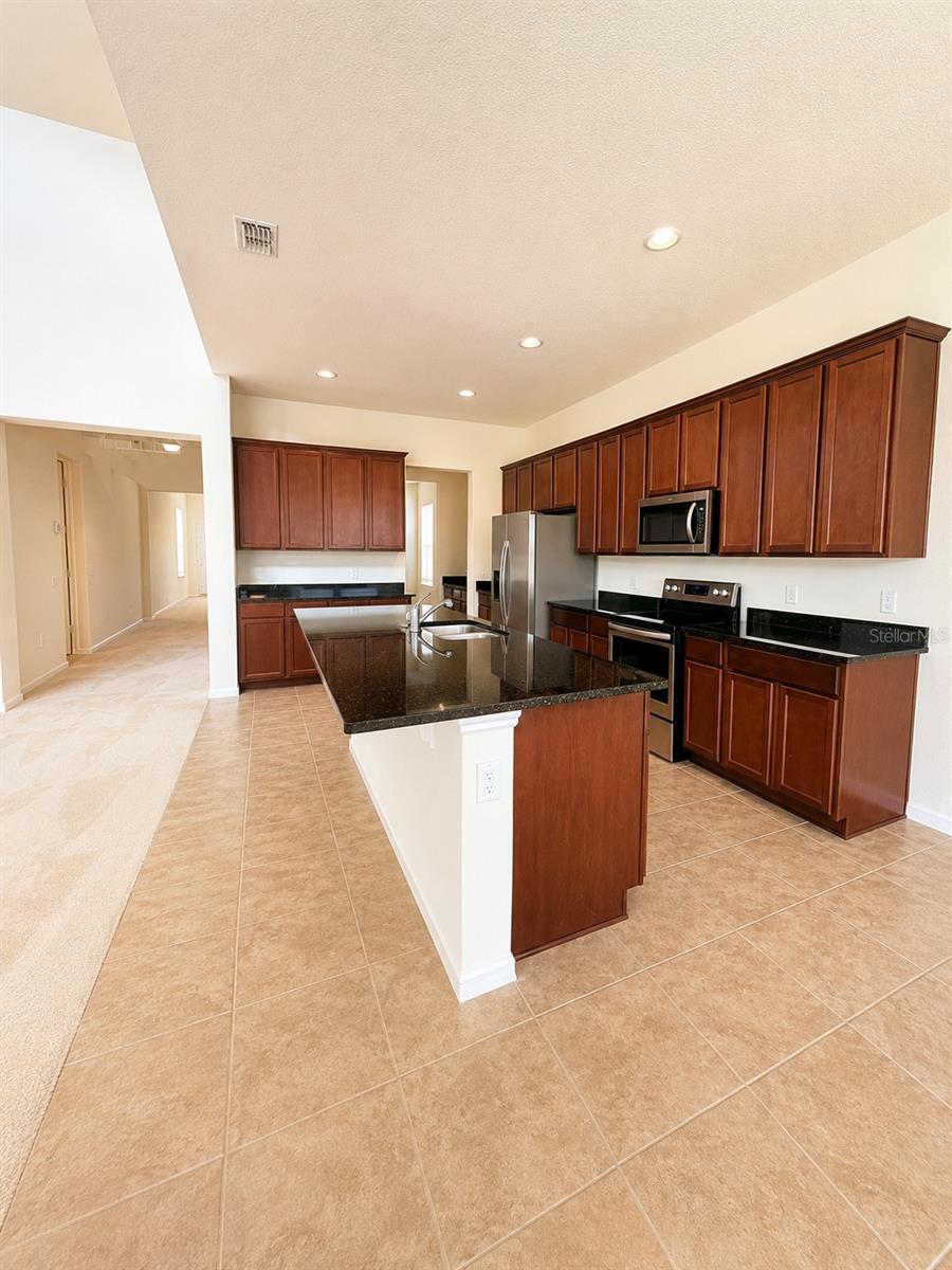 10103 AUSTRINA OAK LOOP, WINTER GARDEN, FL, 34787