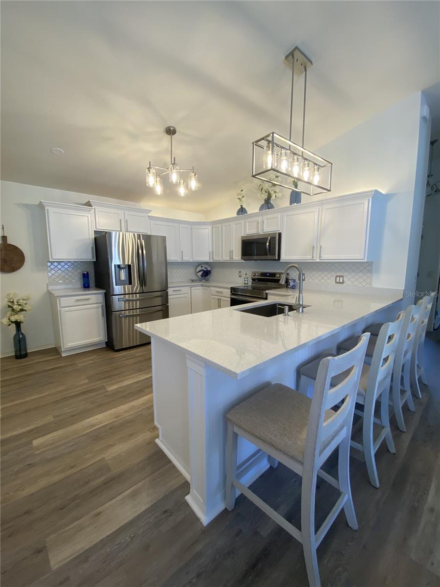 1648 ABASCO CT, THE VILLAGES, FL, 32162