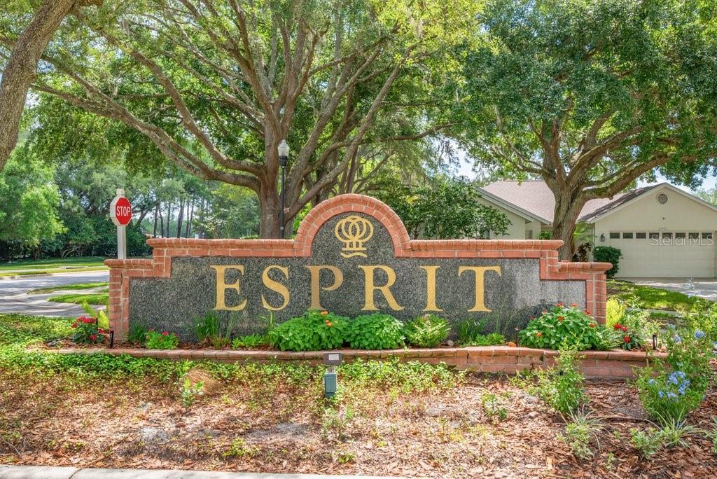 17610 ESPRIT DR, TAMPA, FL, 33647
