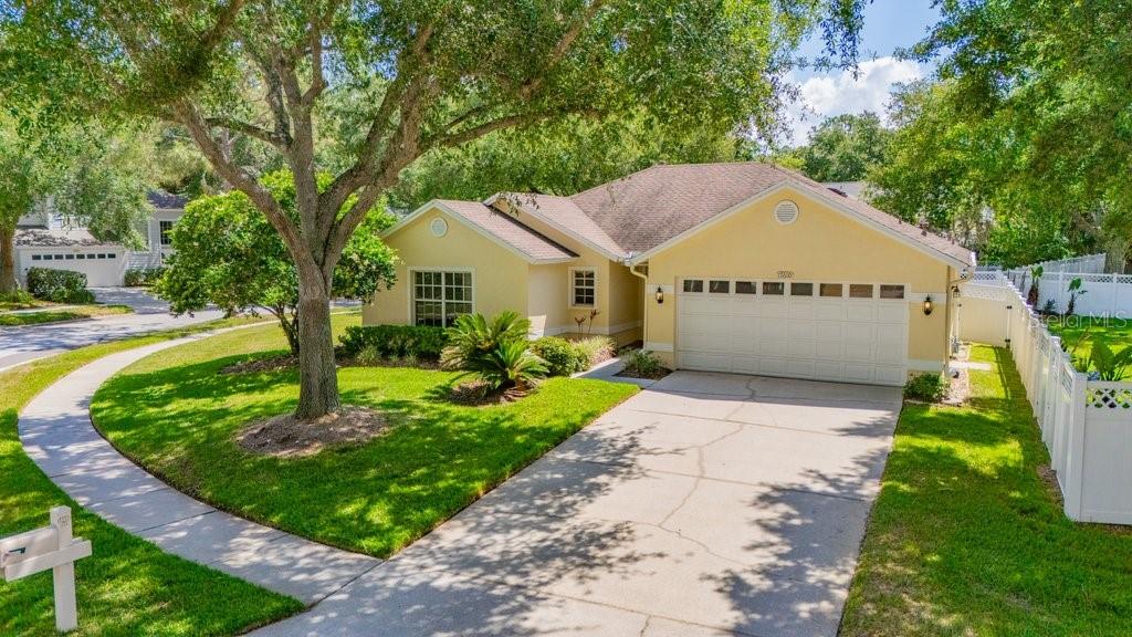17610 ESPRIT DR, TAMPA, FL, 33647