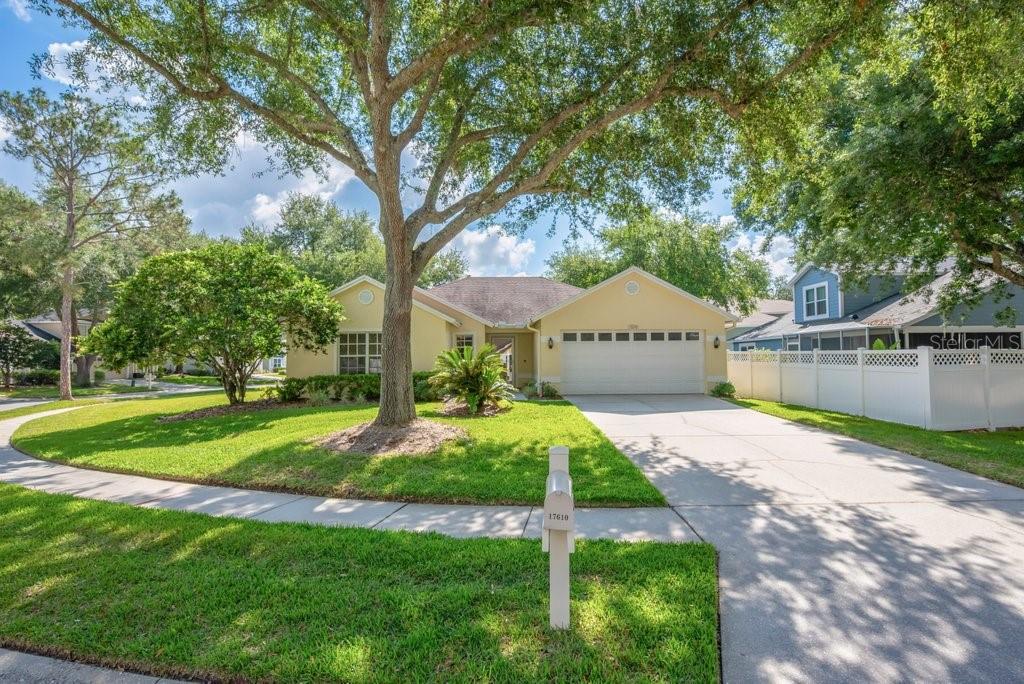 17610 ESPRIT DR, TAMPA, FL, 33647