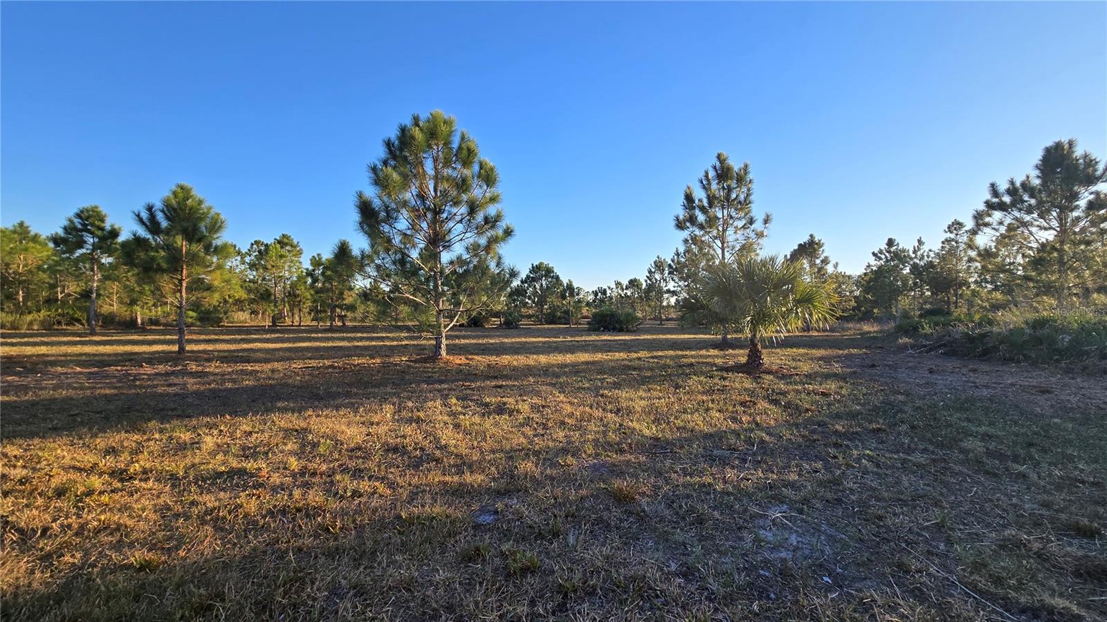 17718 NW 266TH ST, OKEECHOBEE, FL, 34972