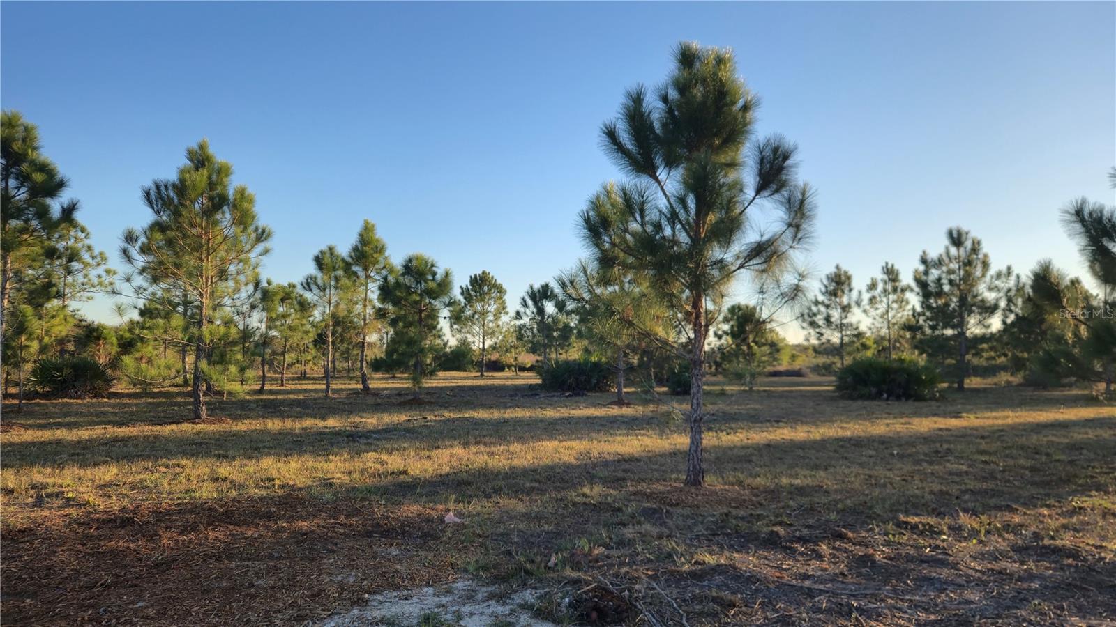 17718 NW 266TH ST, OKEECHOBEE, FL, 34972