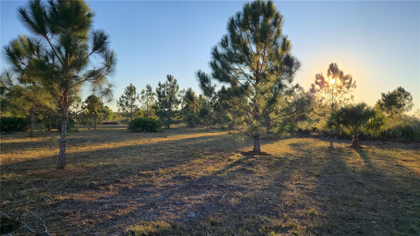 17718 NW 266TH ST, OKEECHOBEE, FL, 34972