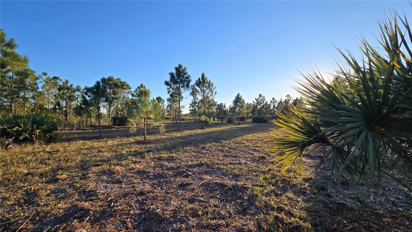 17718 NW 266TH ST, OKEECHOBEE, FL, 34972