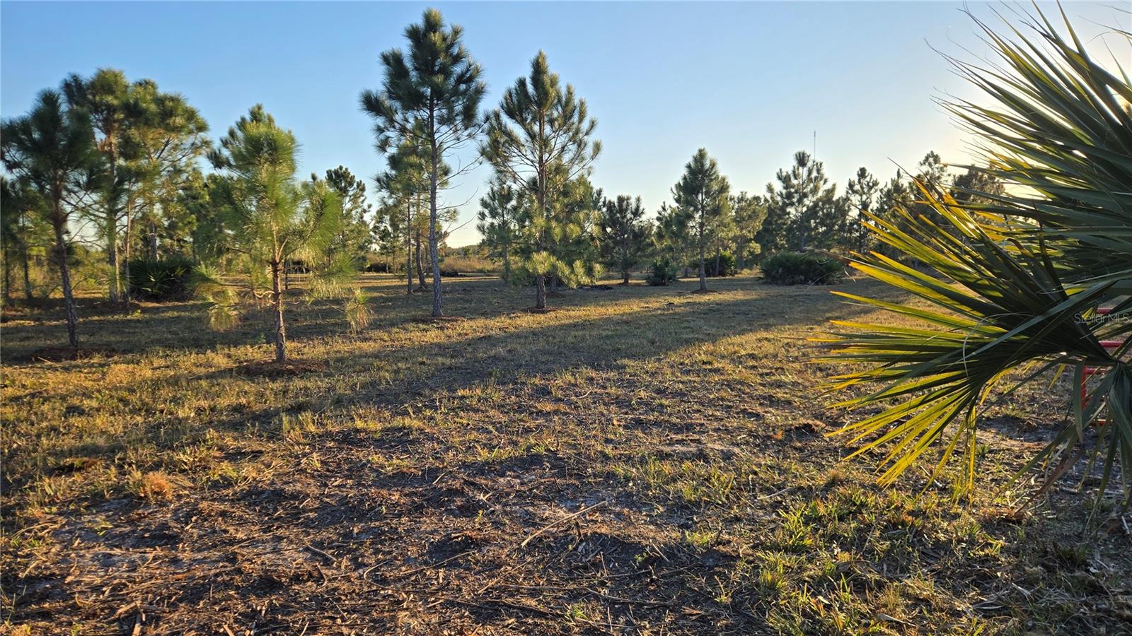 17718 NW 266TH ST, OKEECHOBEE, FL, 34972