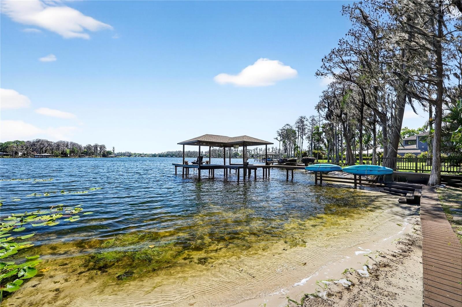 19801 GUNN HWY, ODESSA, FL, 33556