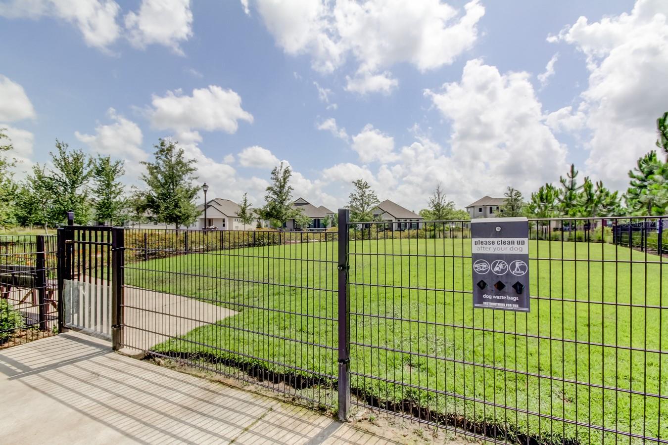 4023 BURDICK LOOP, ODESSA, FL, 33556