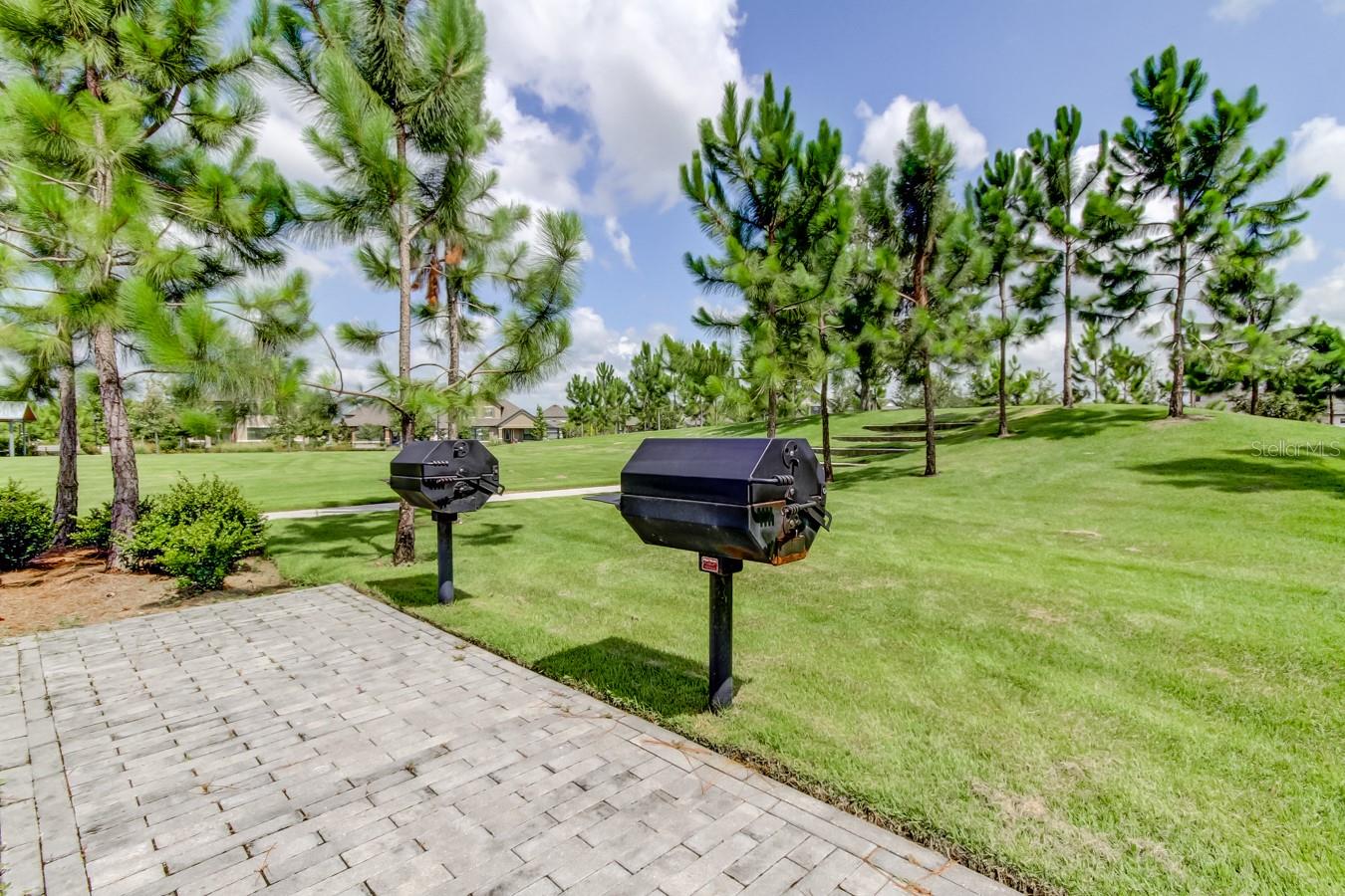 4023 BURDICK LOOP, ODESSA, FL, 33556