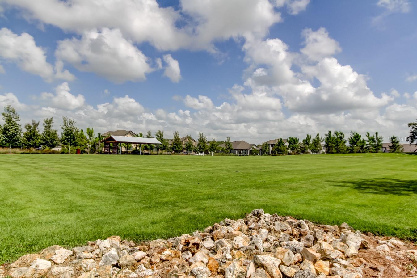 4023 BURDICK LOOP, ODESSA, FL, 33556