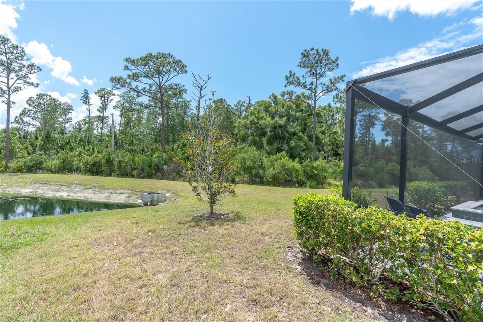4023 BURDICK LOOP, ODESSA, FL, 33556
