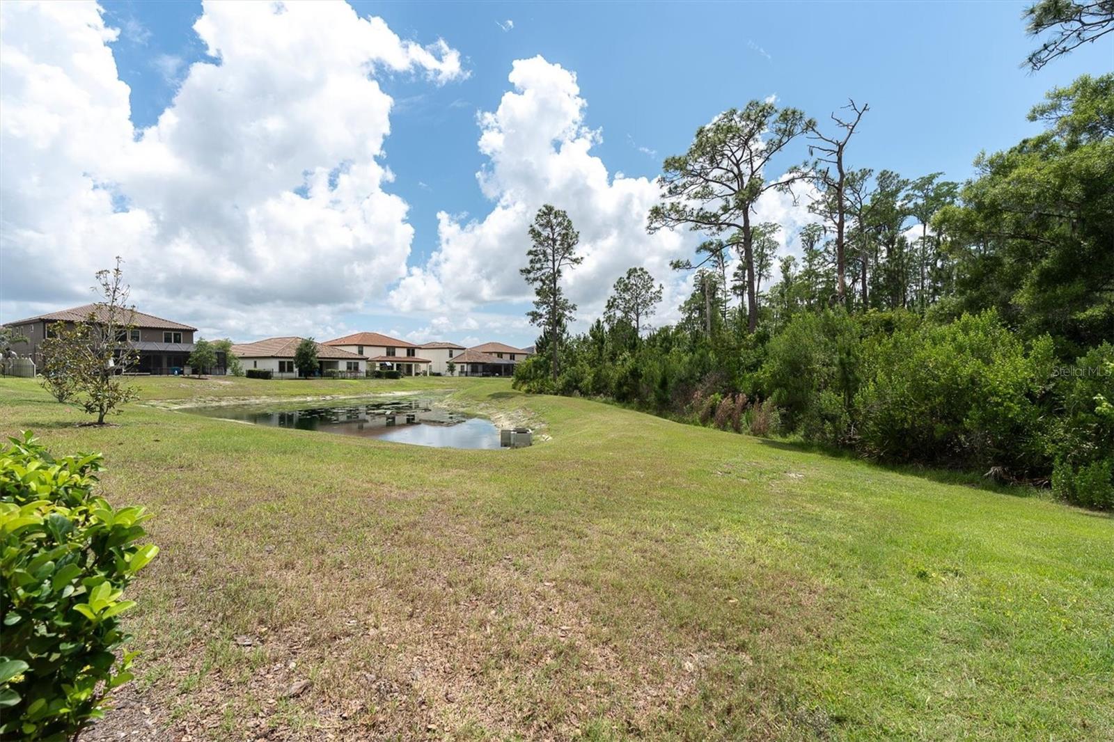 4023 BURDICK LOOP, ODESSA, FL, 33556