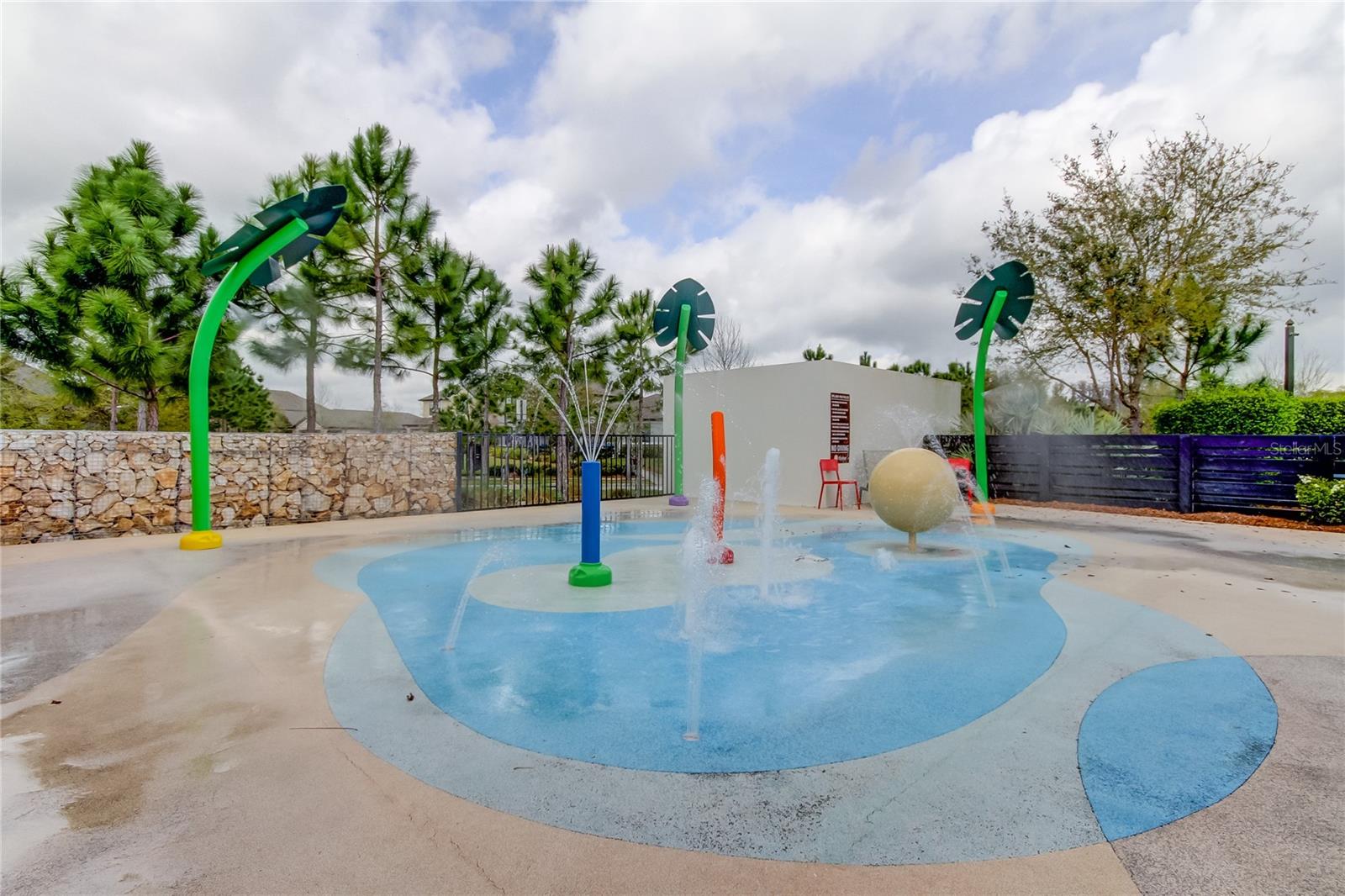 4023 BURDICK LOOP, ODESSA, FL, 33556