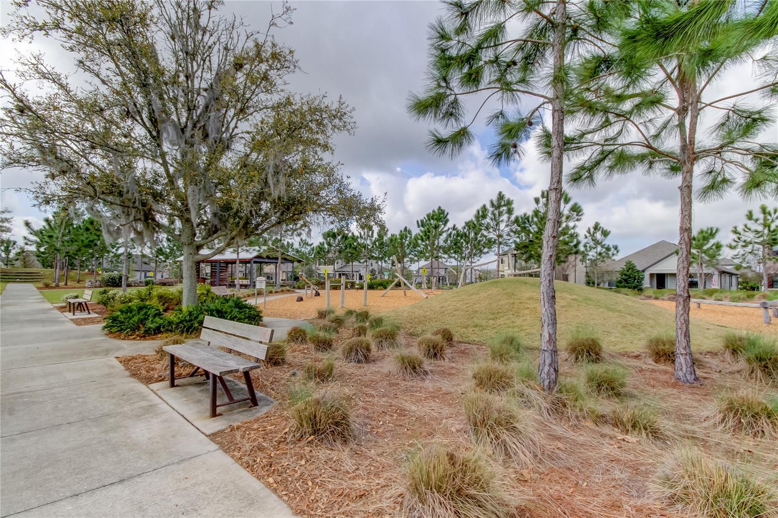4023 BURDICK LOOP, ODESSA, FL, 33556