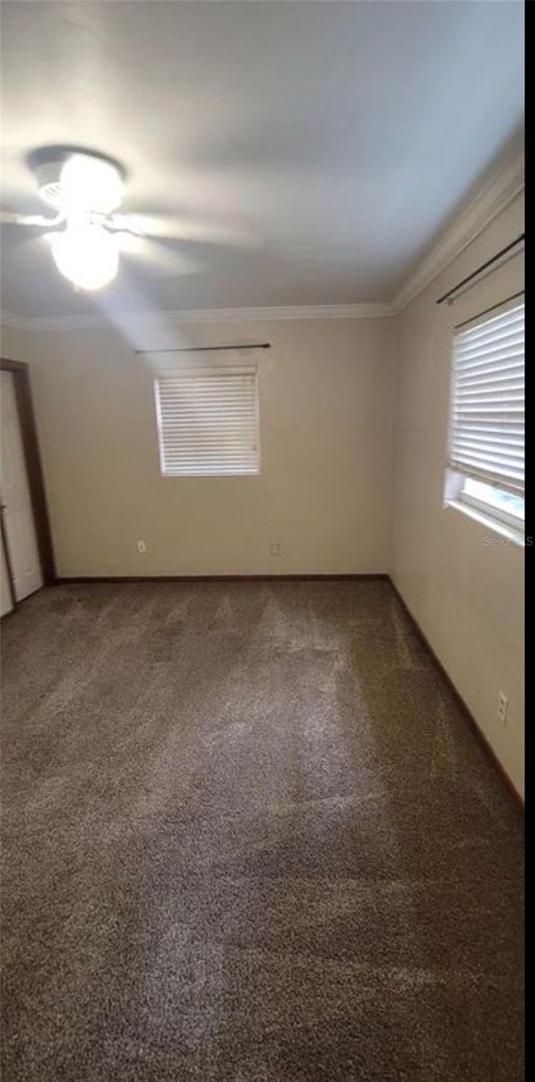 3805 NW 50TH ST, GAINESVILLE, FL, 32606