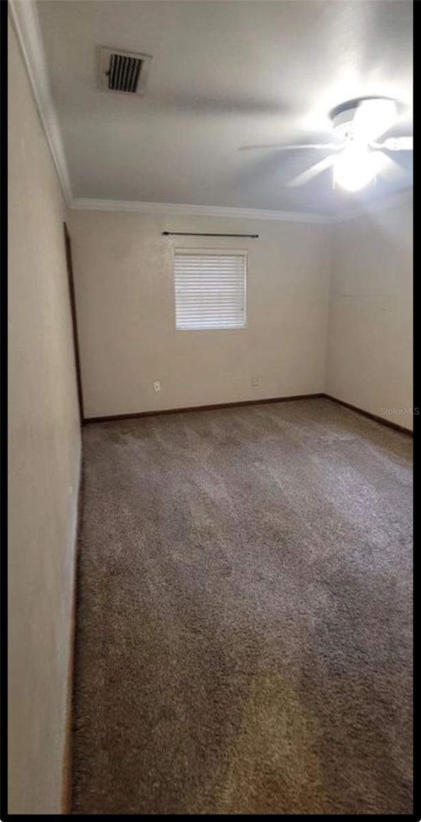 3805 NW 50TH ST, GAINESVILLE, FL, 32606
