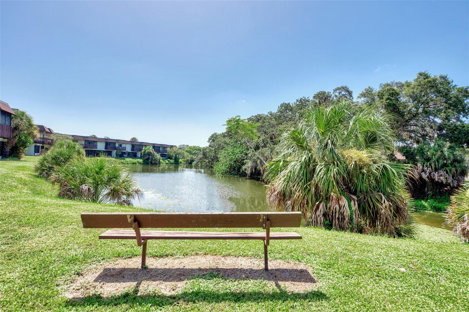 3360 RAMBLEWOOD DR S, SARASOTA, FL, 34237