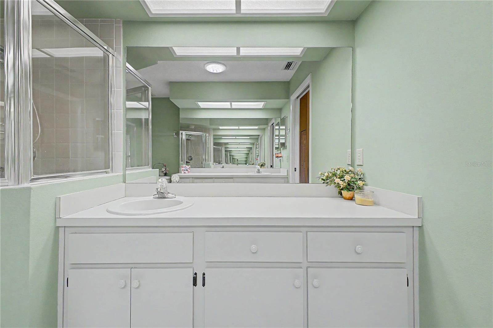 2662 APPLELEAF CT, SPRING HILL, FL, 34606