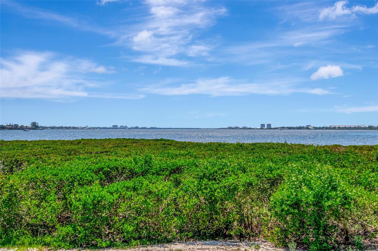 850 TIDEWATER SHORES LOOP #105, BRADENTON, FL, 34208