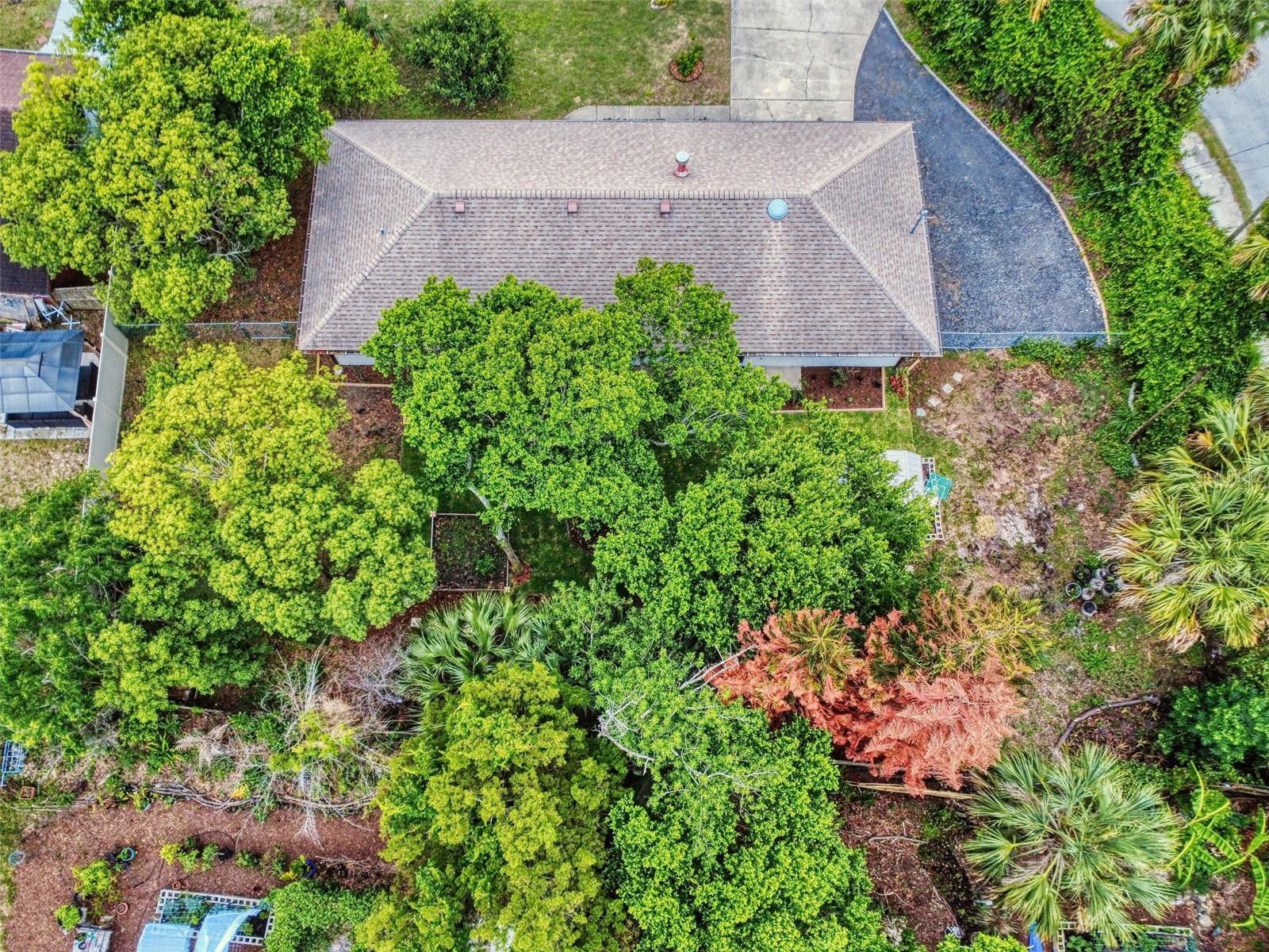 111 VALENCIA DR, EDGEWATER, FL, 32132