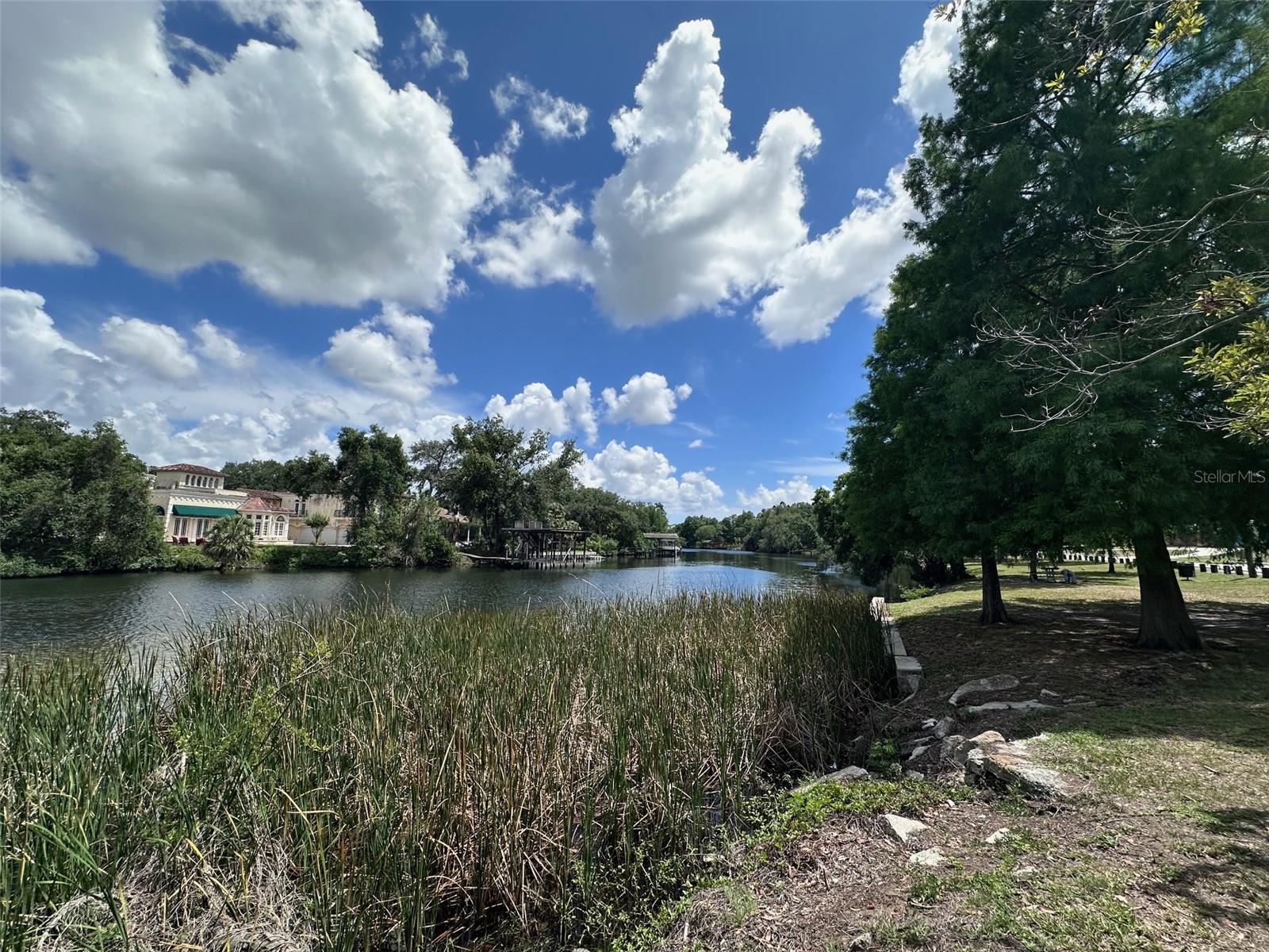 8018 N OLA AVE, TAMPA, FL, 33604
