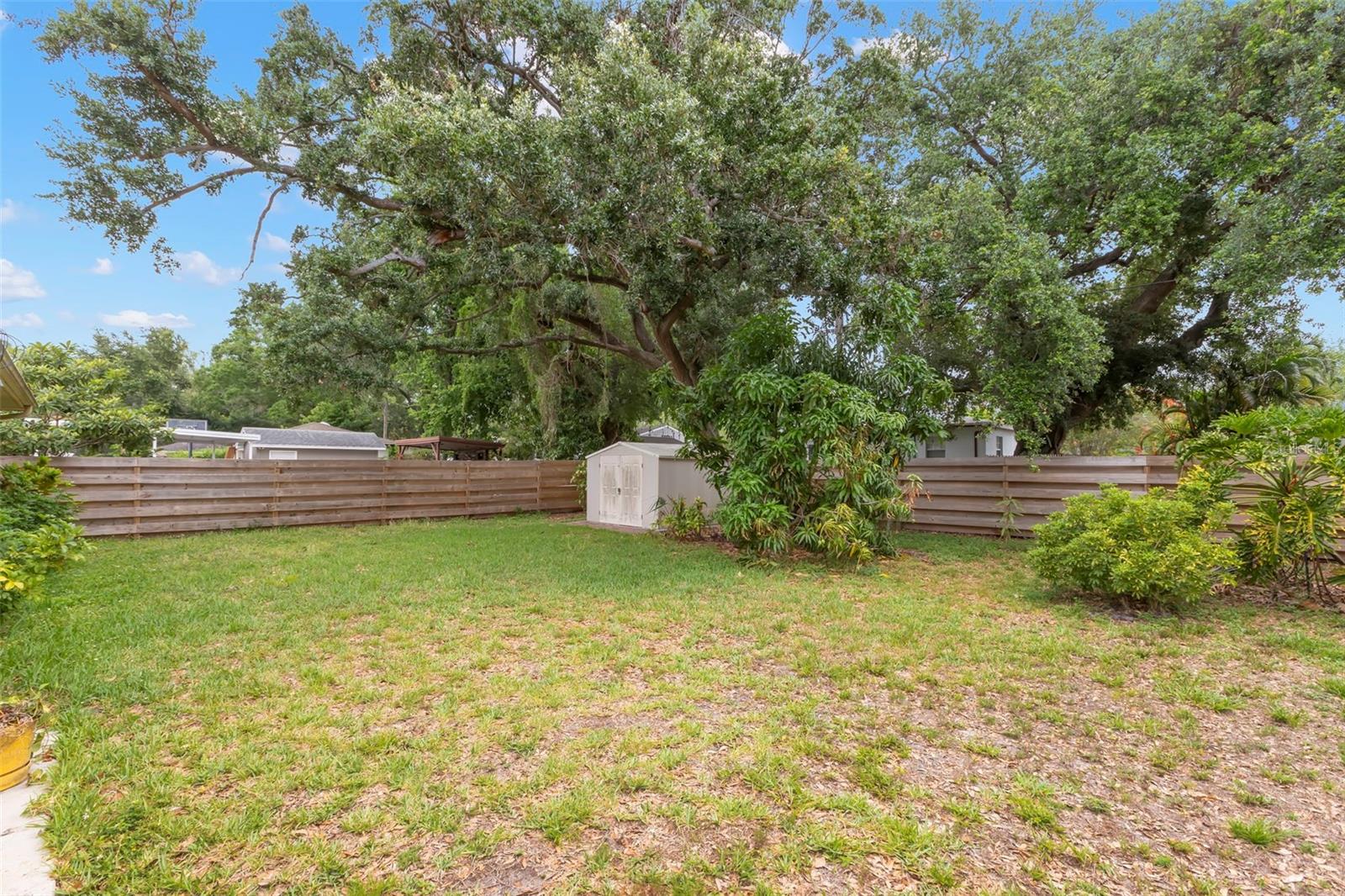 2616 TORONTO, TAMPA, FL, 33629