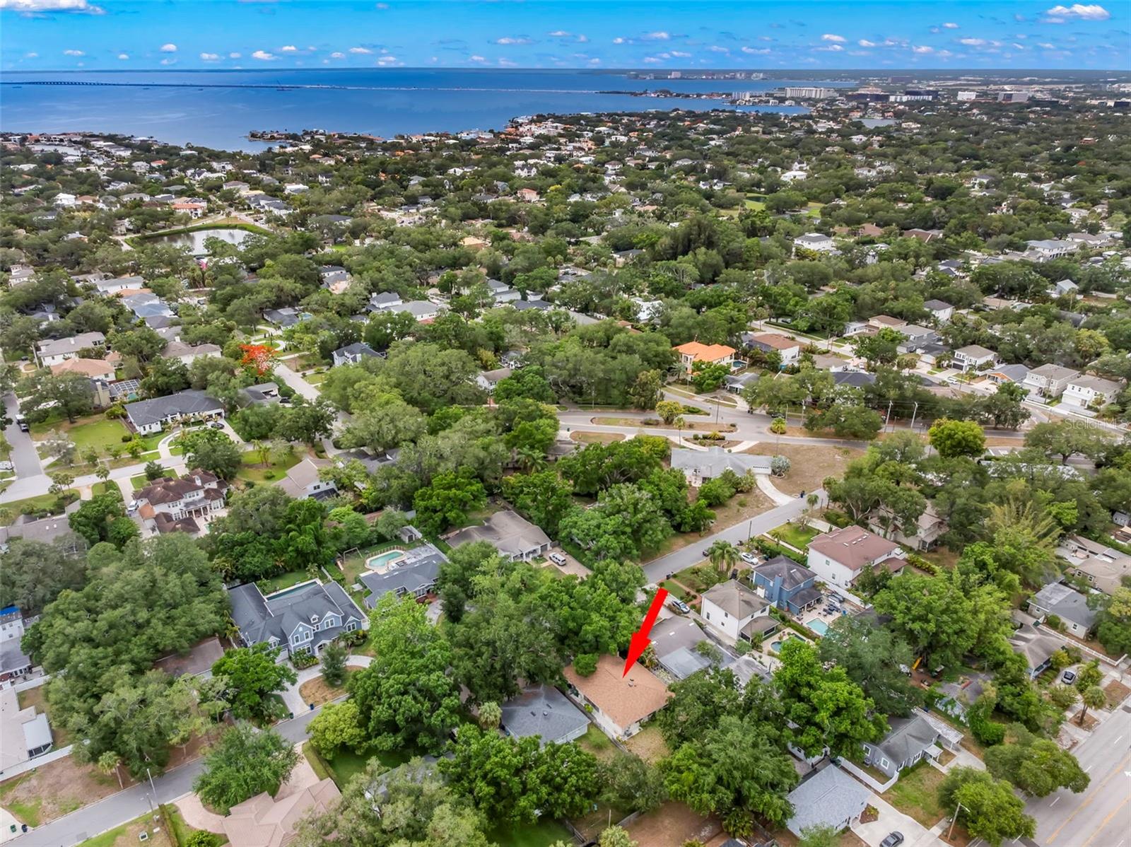2616 TORONTO, TAMPA, FL, 33629