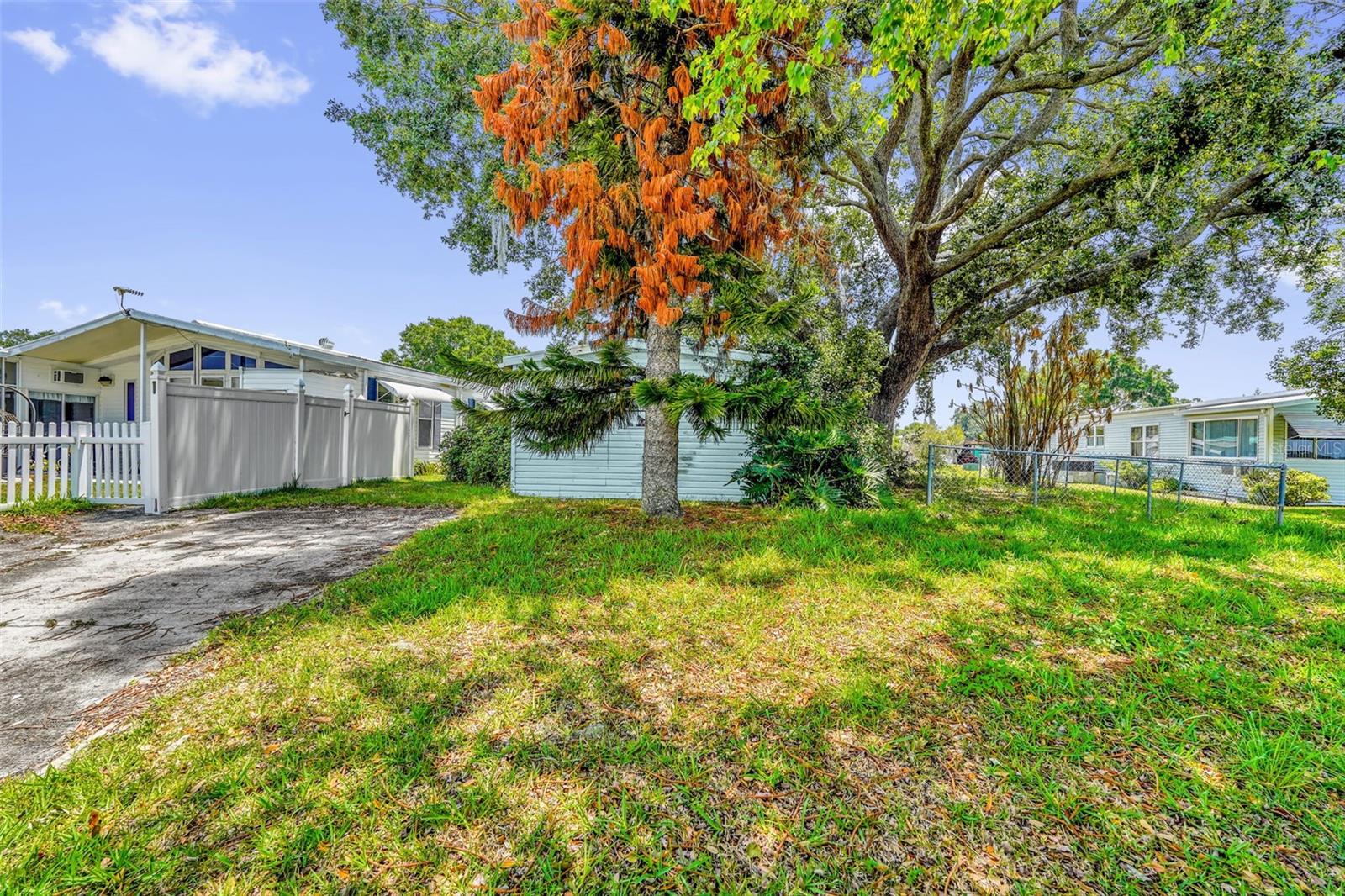 2050 THELMA DR, LAKE ALFRED, FL, 33850
