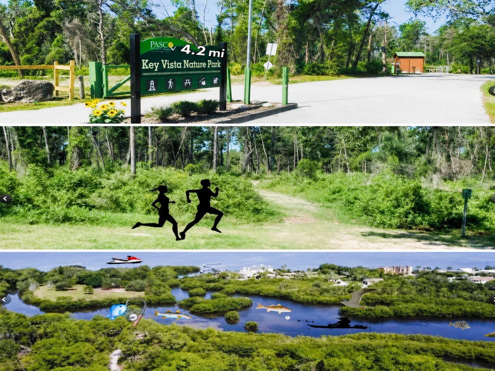4616 IRENE LOOP, NEW PORT RICHEY, FL, 34652