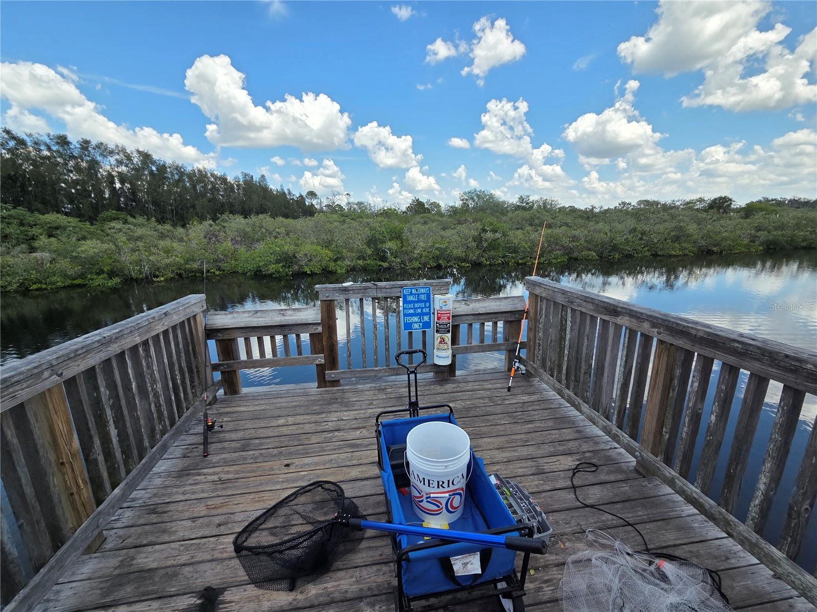 4616 IRENE LOOP, NEW PORT RICHEY, FL, 34652